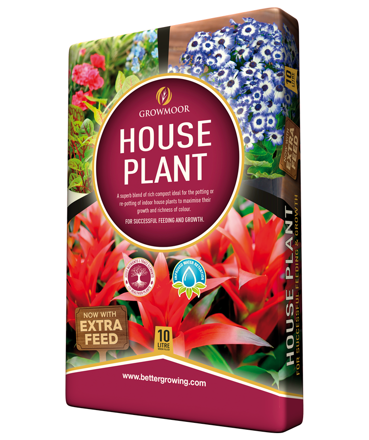 House Plant Compost